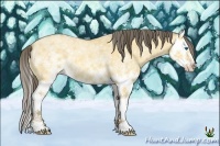 Horse Color:White Spotted Amber Cream Champagne Dun Splash 
