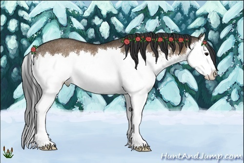 Horse Color:White Spotted Brown Dun Sabino Splash Rabicano 