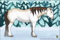 Horse Color:Amber Champagne Roan Dun Splash Frame Rabicano