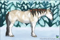 Horse Color:White Spotted Brown Dun Splash Rabicano 