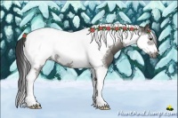 Horse Color:Grullo Tobiano Frame 