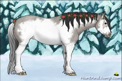 Horse Color:Grullo Roan Splash Frame 