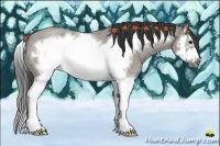 Horse Color:Grullo Roan Splash Frame 