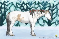 Horse Color:White Spotted Brown Dun Splash Tobiano