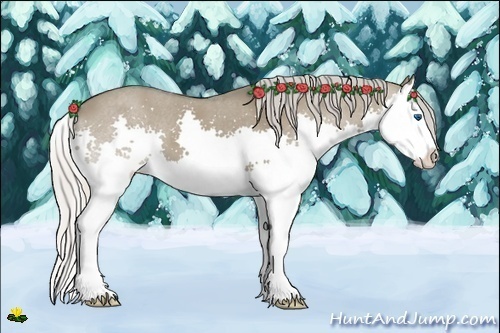 Horse Color:Silver Grullo Splash 