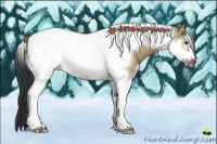 Horse Color:Brown Dun Sabino Tobiano Frame