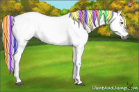 Horse Color:Gray Painted White Spotted Chestnut 