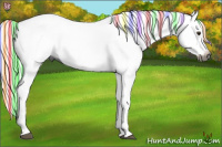 Horse Color:Gray Painted Red Dun Splash