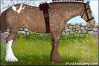 Horse Color:Liver Chestnut Snowflake Varnish