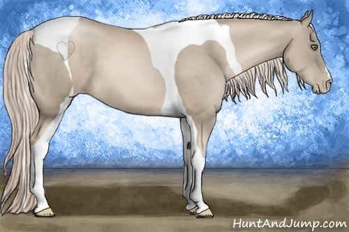 Horse Color:Chocolate Palomino Pearl Tobiano 