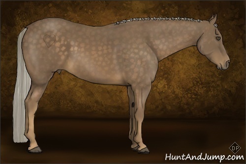 Horse Color:Chocolate Palomino 