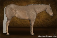 Horse Color:Chocolate Palomino 