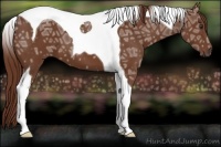Horse Color:Chestnut Ice Tobiano 