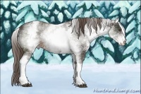 Horse Color:White Spotted Liver Chestnut 