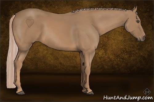 Horse Color:Palomino 