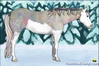 Horse Color:Nacre Watercolor Silver Smoky Black Ice Splash