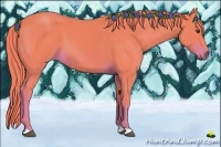 Horse Color:Watercolor Liver Chestnut 