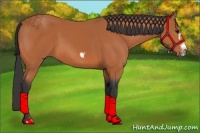 Horse Color:Bay Splash Frame