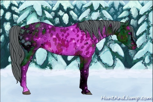 Horse Color:ERROR: UNKNOWN ANOMALY