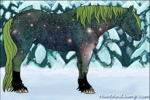 Horse Color:ERROR: UNKNOWN ANOMALY