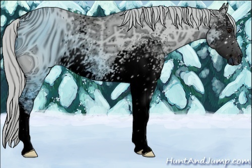 Horse Color:ERROR: UNKNOWN ANOMALY