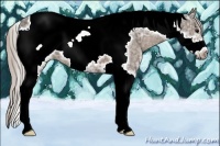 Horse Color:Silver Black Ice Tobiano Frame 