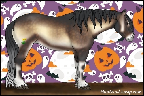 Horse Color:Brown Onyx 