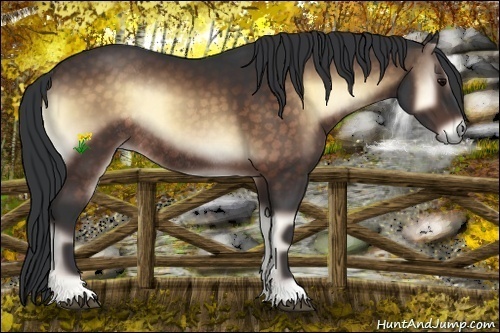 Horse Color:Brown Onyx Rabicano