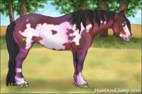 Horse Color:Brown Frame 