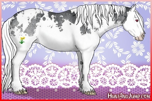 Horse Color:White Spotted Silver Smoky Black Chinchilla Splash Varnish Rabicano