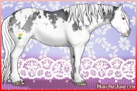 Horse Color:White Spotted Silver Smoky Black Chinchilla Splash Varnish Rabicano