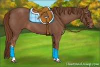 Horse Color:Red Roan 
