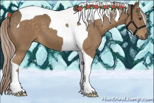 Horse Color:Chocolate Palomino Tobiano