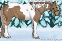 Horse Color:Chocolate Palomino Tobiano