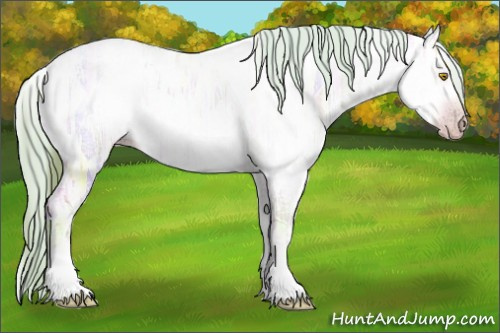 Horse Color:Gray Watercolor White Spotted Amber Champagne Ice 
