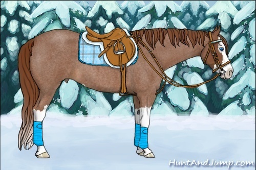 Horse Color:Red Roan Splash 