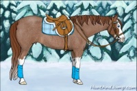 Horse Color:Red Roan Splash 