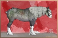 Horse Color:Silver Black Chinchilla Sabino Splash