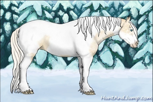 Horse Color:Silver Classic Champagne Ice Pearl Tobiano Frame Rabicano
