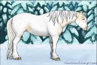 Horse Color:Silver Classic Champagne Ice Pearl Tobiano Frame Rabicano
