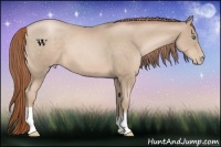 Horse Color:Smoky Black Pearl 