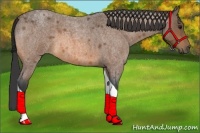 Horse Color:Buckskin Roan Tobiano 