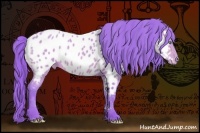 Horse Color:Watercolor Amber Cream Champagne Appaloosa