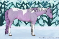 Horse Color:Watercolor Red Roan Tobiano 