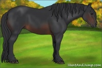 Horse Color:Brown 