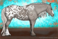 Horse Color:Silver Black Blanket