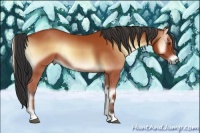 Horse Color:Bay Onyx 