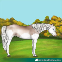 Horse Color:Liver Red Onyx Pearl Mushroom Splash 