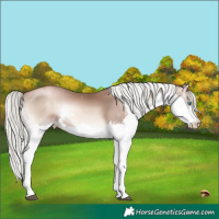 Horse Color:Liver Red Onyx Pearl Mushroom Splash 