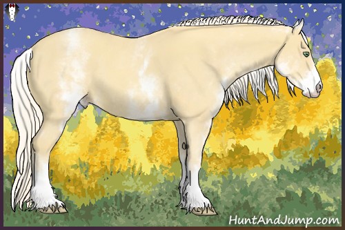 Horse Color:White Spotted Gold Cream Champagne 